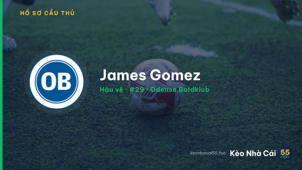 James Gomez — Odense Boldklub
