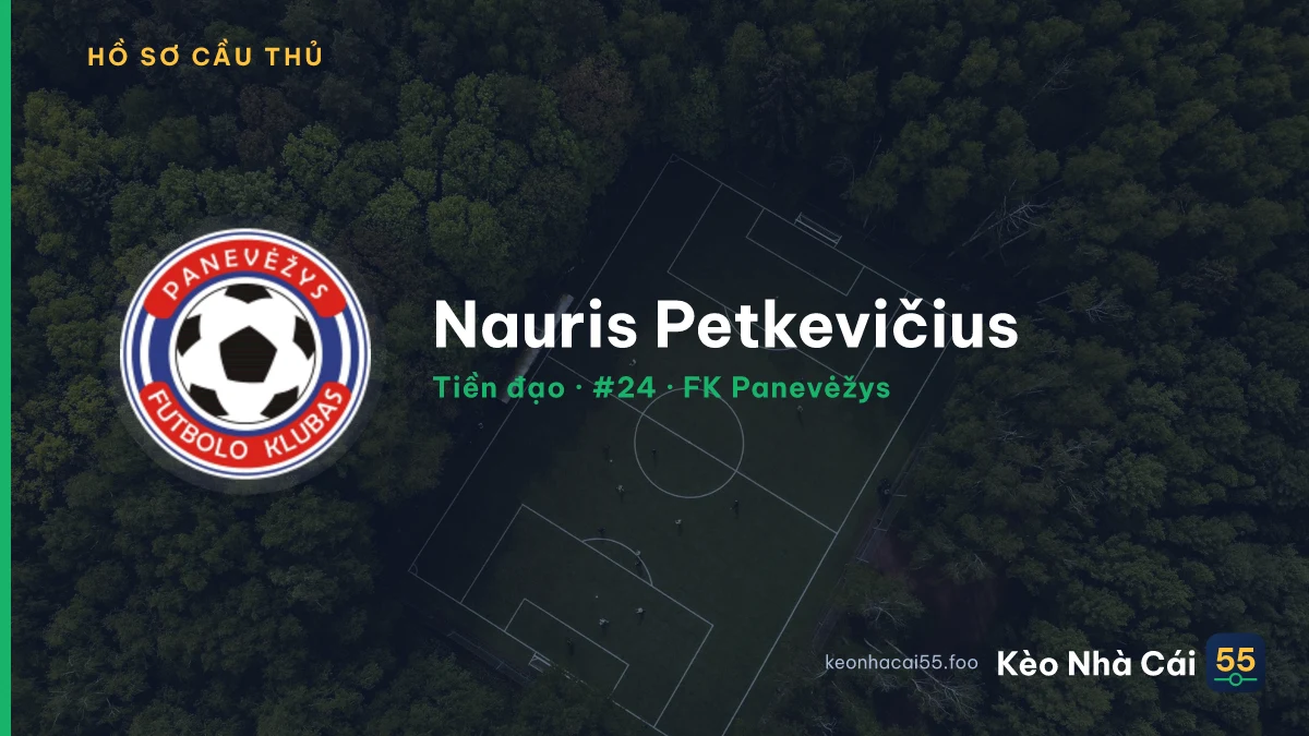 Nauris Petkevičius — FK Panevėžys
