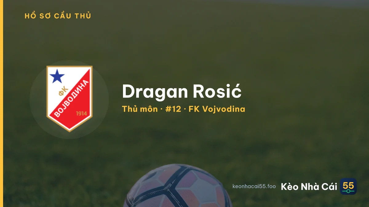 Dragan Rosić — FK Vojvodina