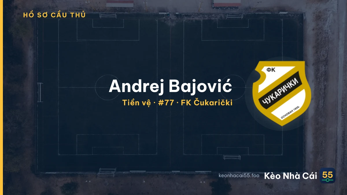 Andrej Bajović — FK Čukarički