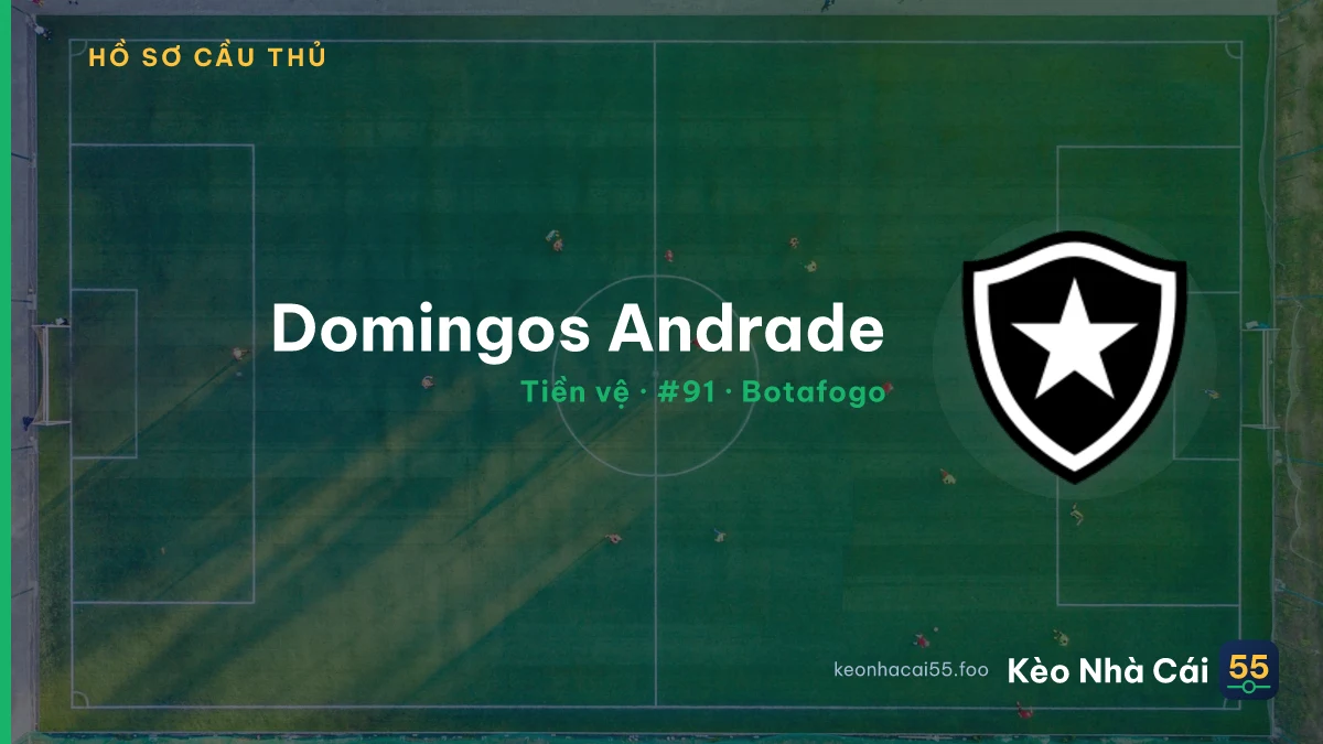 Domingos Andrade — Botafogo