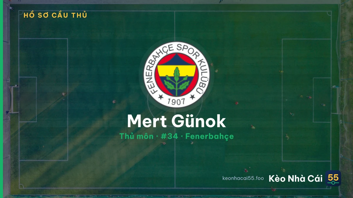 Mert Günok — Fenerbahçe