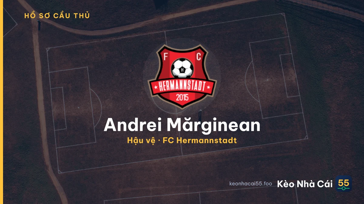 Andrei Mărginean — FC Hermannstadt