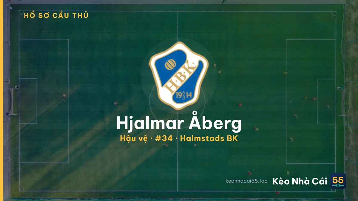 Hjalmar Åberg — Halmstads BK