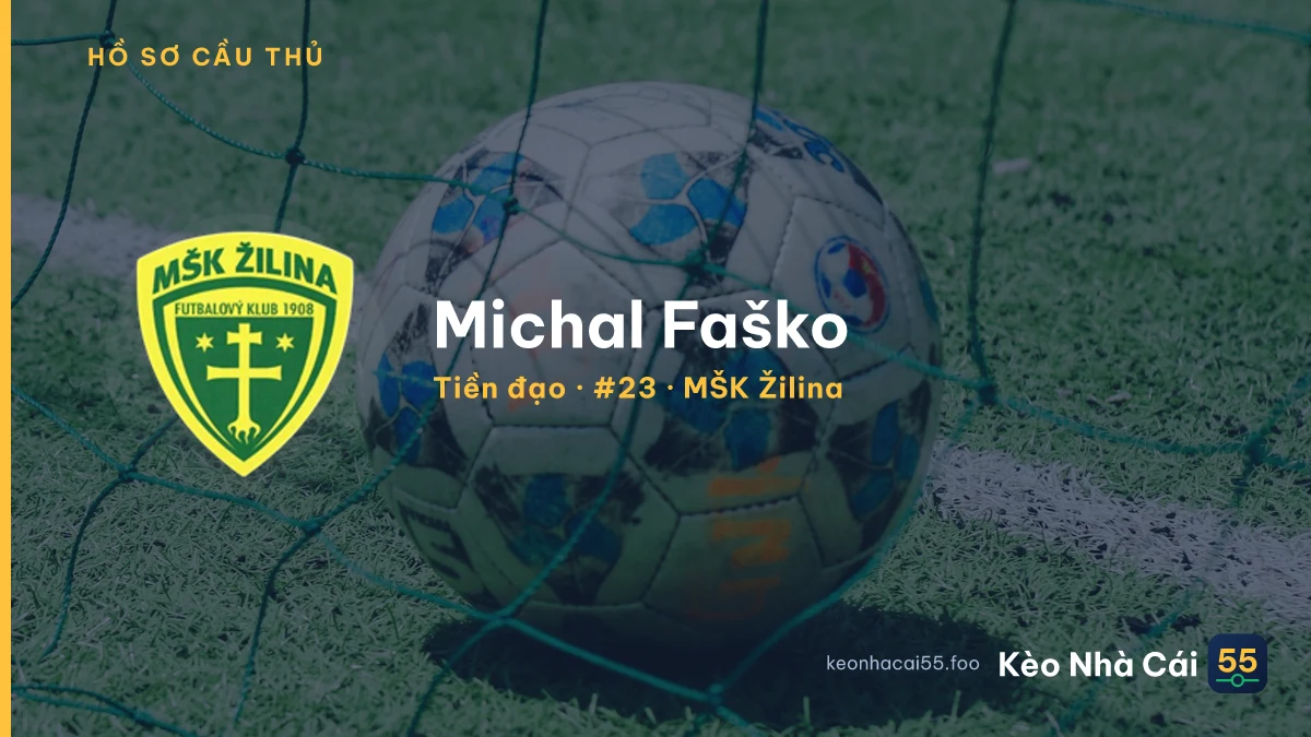 Michal Faško — MŠK Žilina