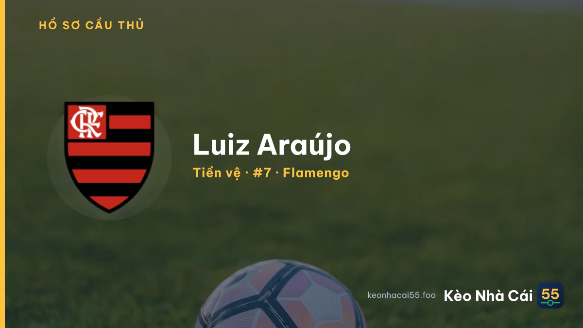 Luiz Araújo — Flamengo