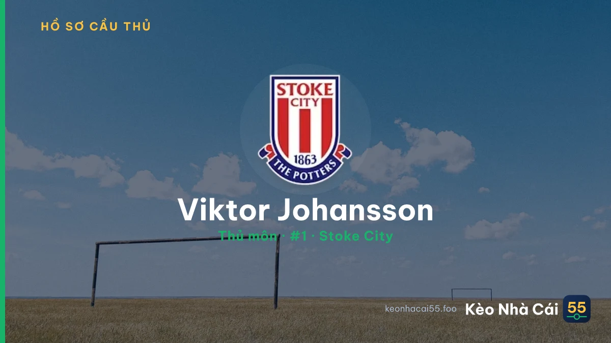 Viktor Johansson — Stoke City