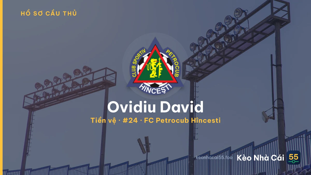 Ovidiu David — FC Petrocub Hîncesti