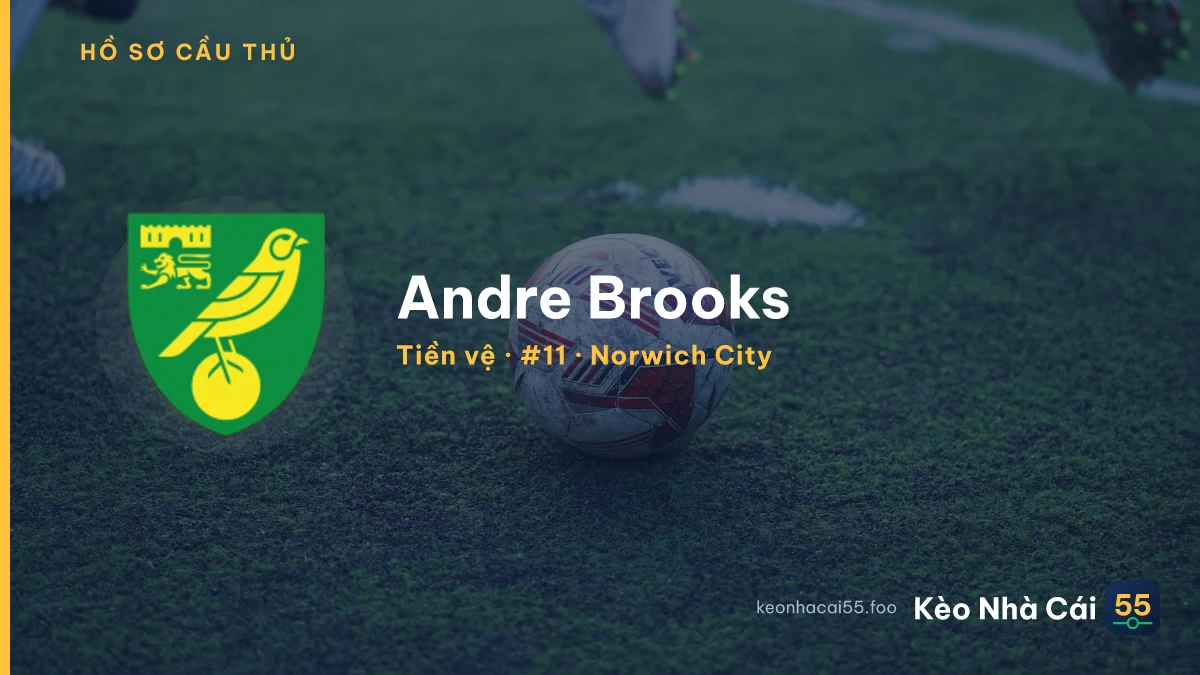 Andre Brooks — Norwich City