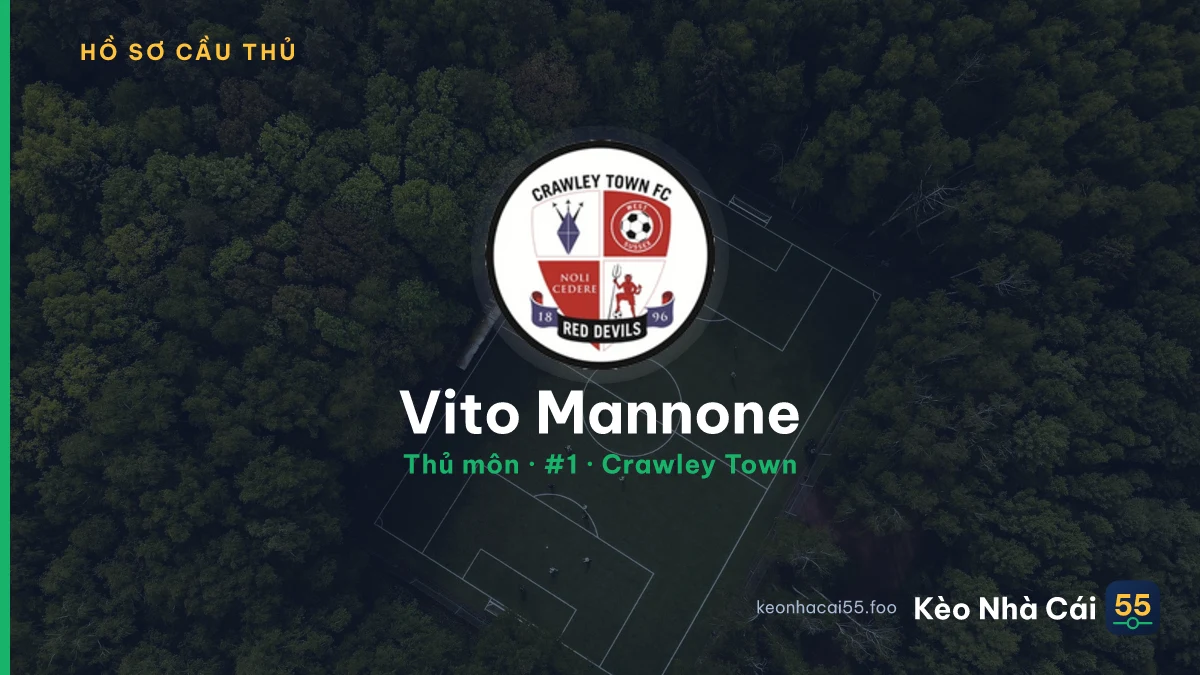 Vito Mannone — Crawley Town