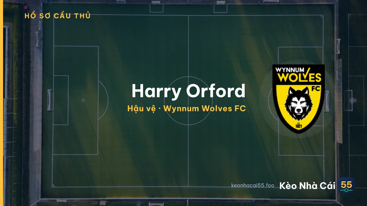 Harry Orford — Wynnum Wolves FC
