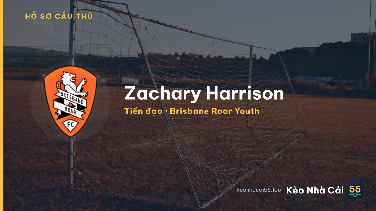 Zachary Harrison — Brisbane Roar Youth