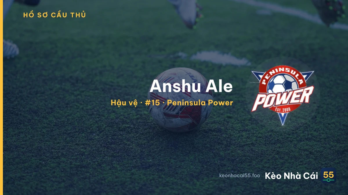 Anshu Ale — Peninsula Power