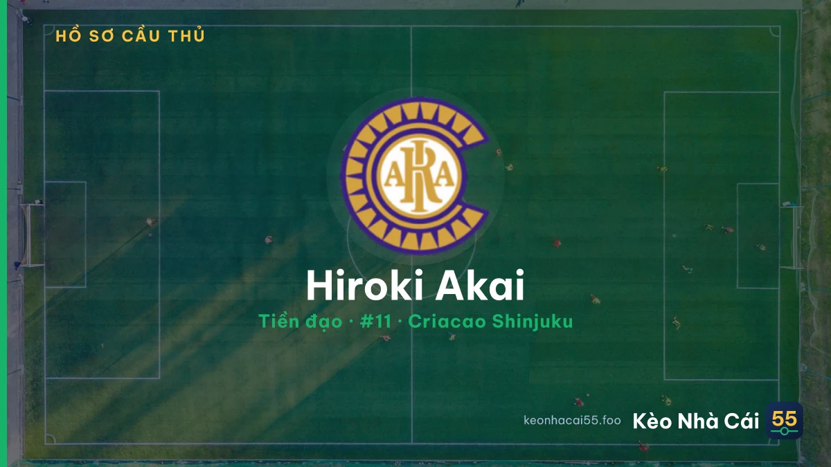 Hiroki Akai — Criacao Shinjuku