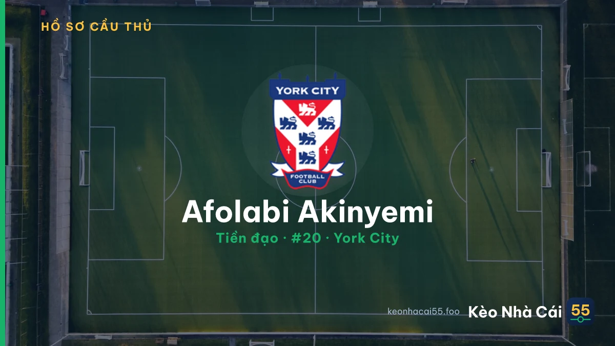 Afolabi Akinyemi — York City