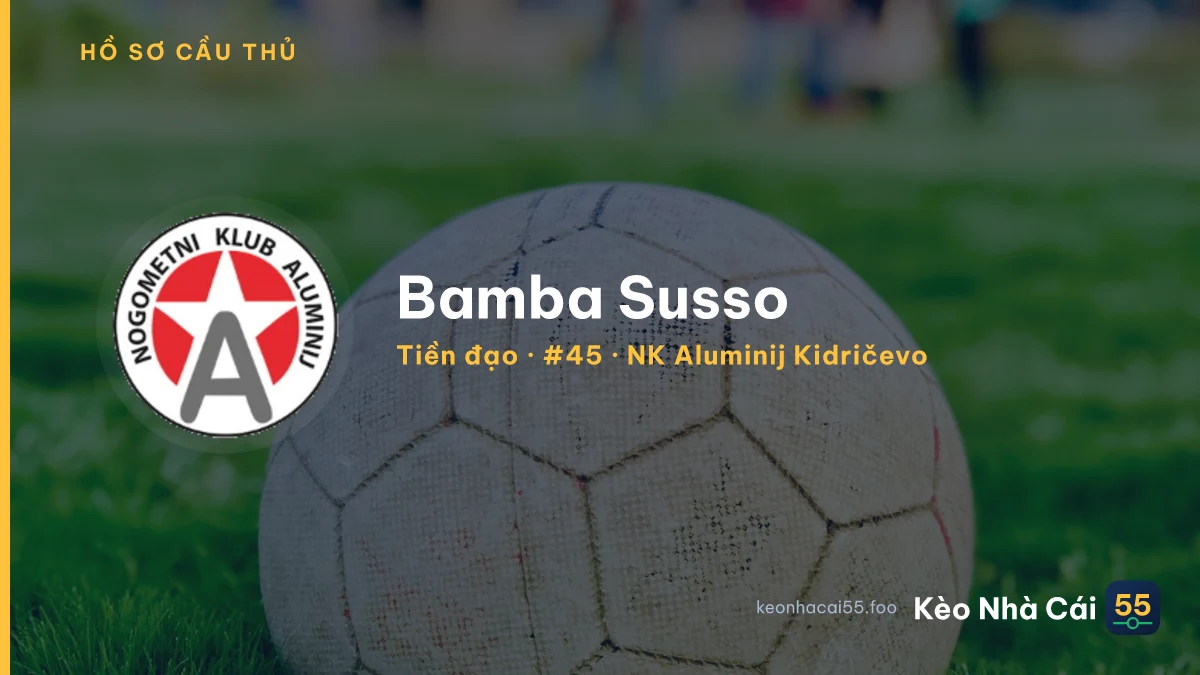 Bamba Susso — NK Aluminij Kidričevo