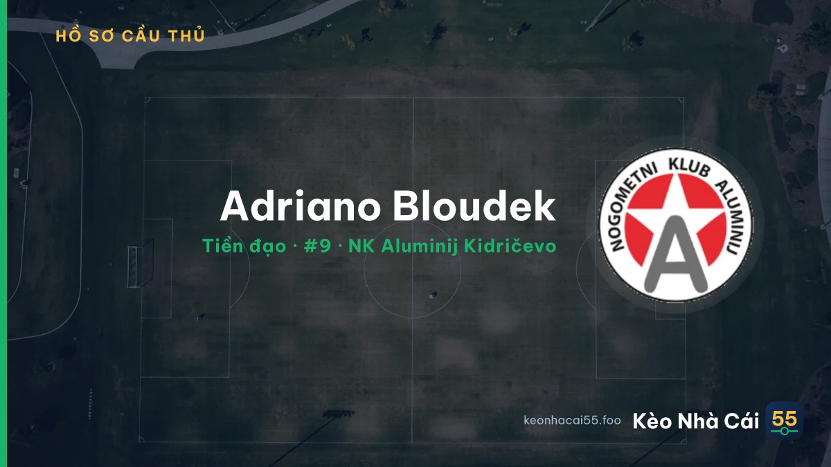 Adriano Bloudek — NK Aluminij Kidričevo