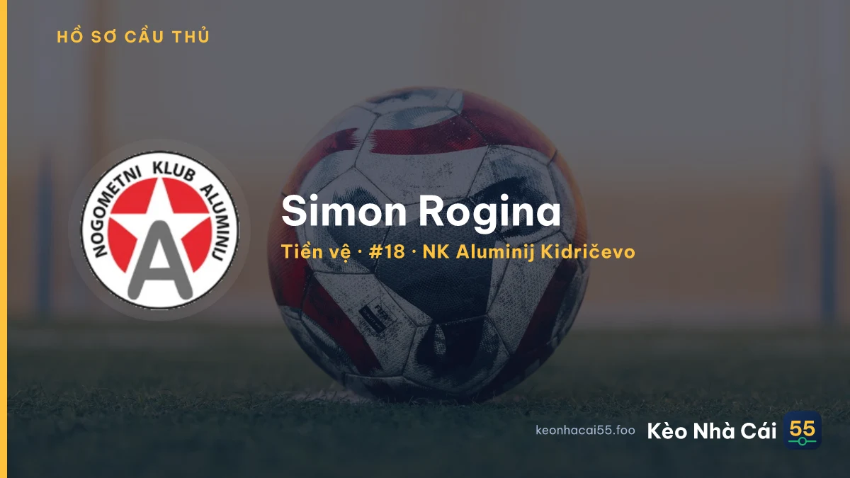 Simon Rogina — NK Aluminij Kidričevo