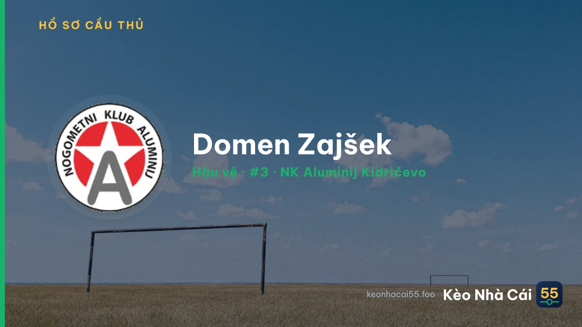 Domen Zajšek — NK Aluminij Kidričevo