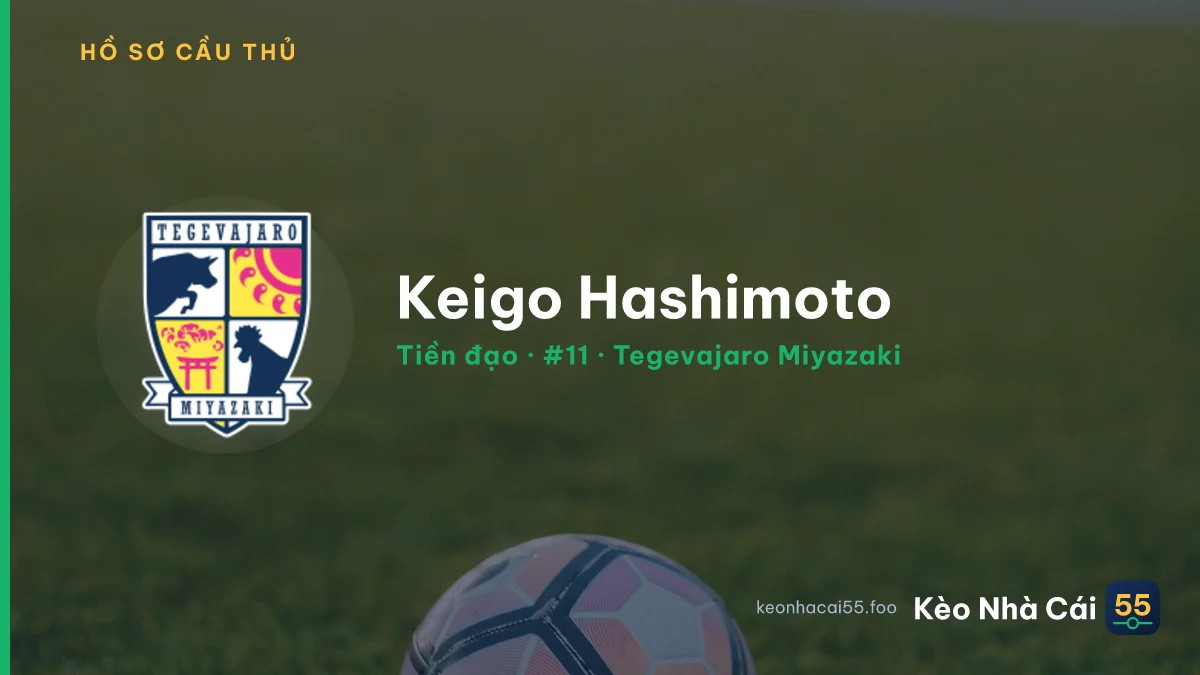 Keigo Hashimoto — Tegevajaro Miyazaki