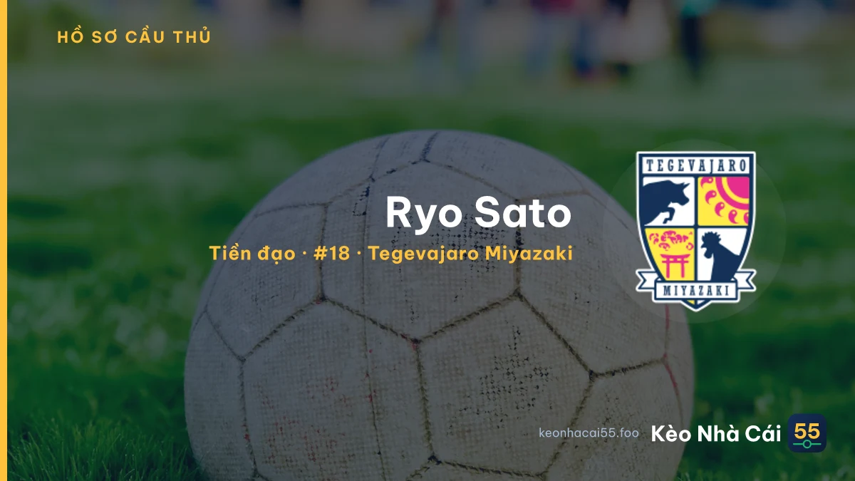 Ryo Sato — Tegevajaro Miyazaki