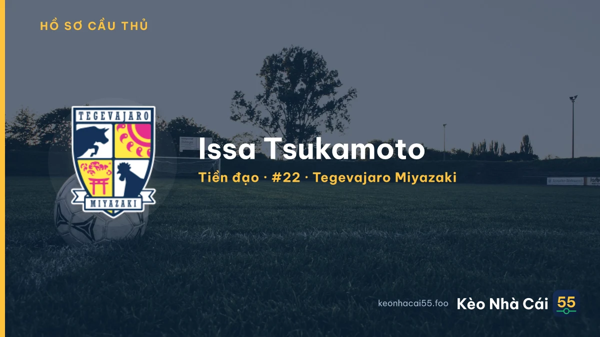 Issa Tsukamoto — Tegevajaro Miyazaki