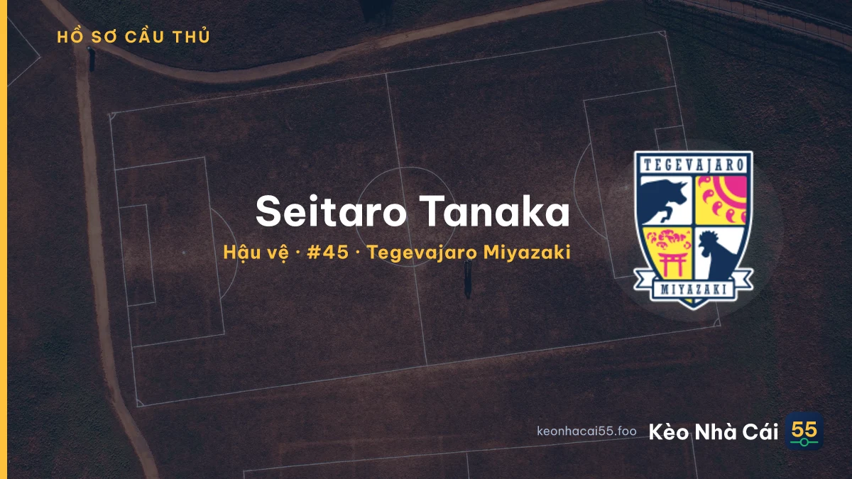 Seitaro Tanaka — Tegevajaro Miyazaki