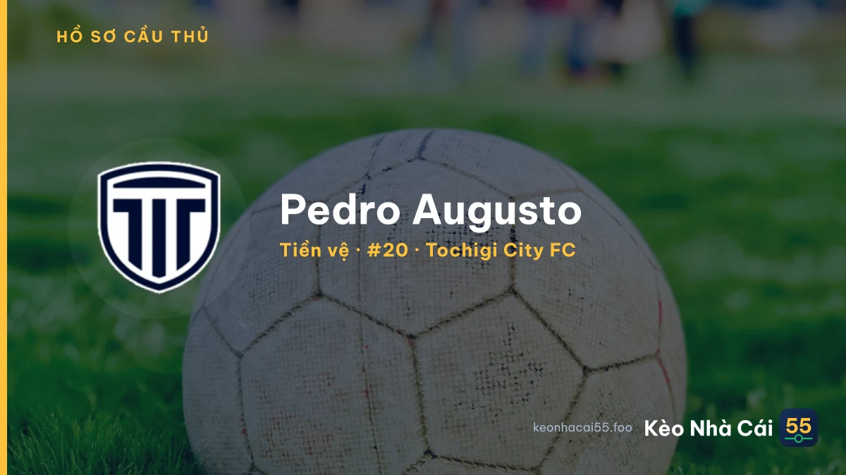 Pedro Augusto — Tochigi City FC