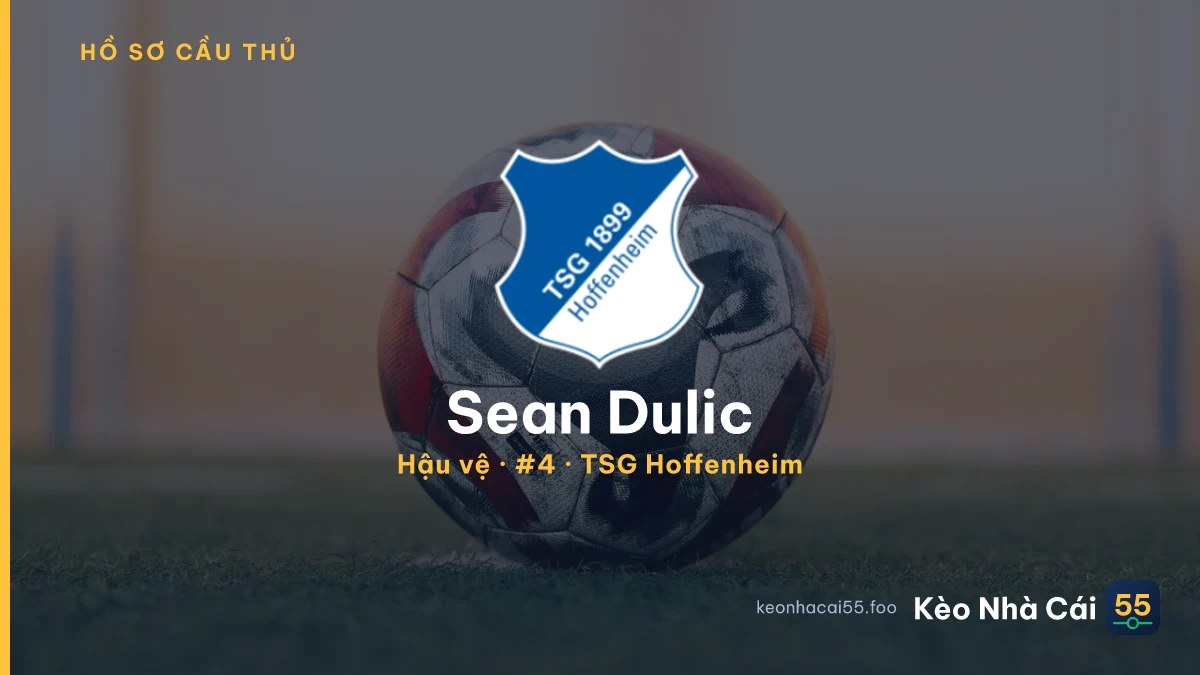 Sean Dulic — TSG Hoffenheim