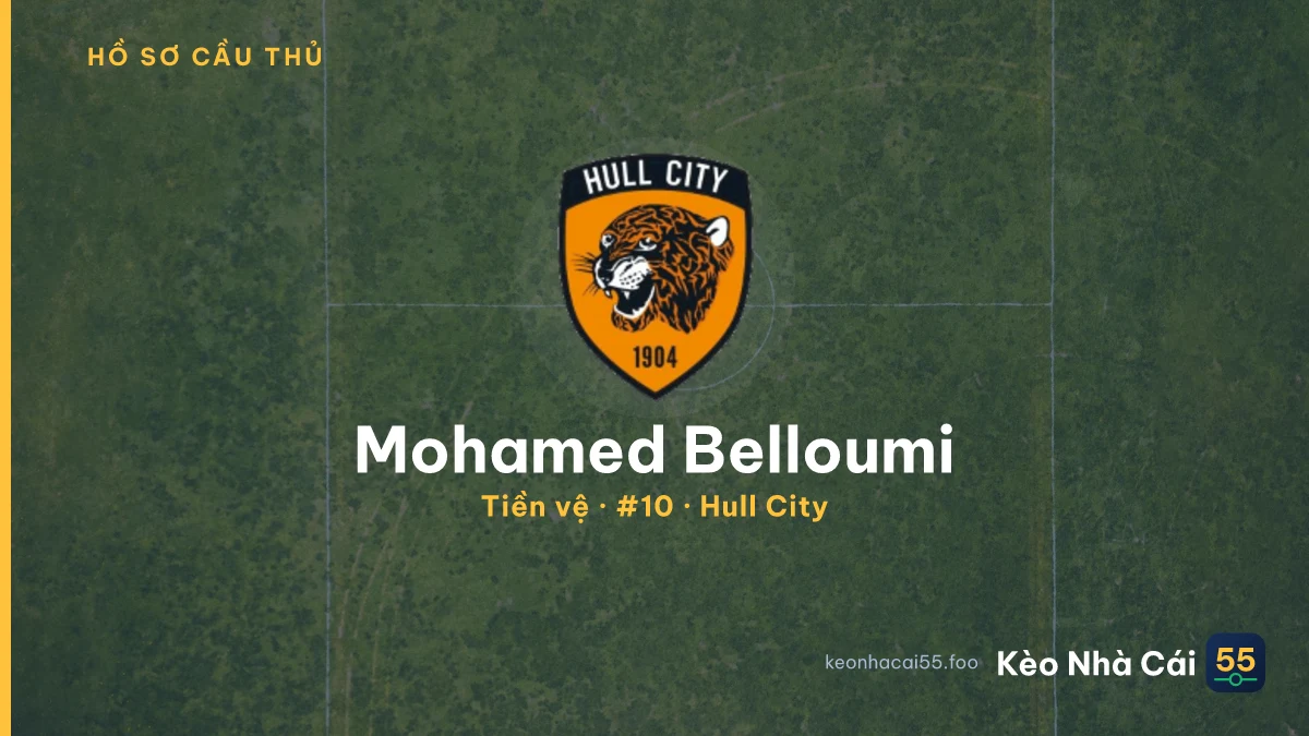 Mohamed Belloumi — Hull City