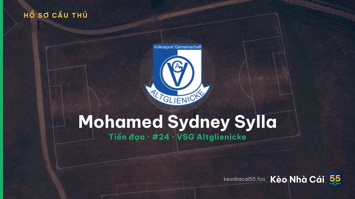Mohamed Sydney Sylla — VSG Altglienicke