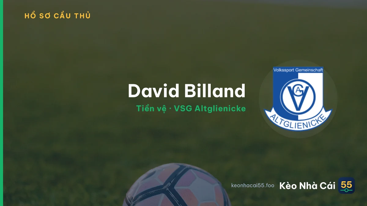 David Billand — VSG Altglienicke