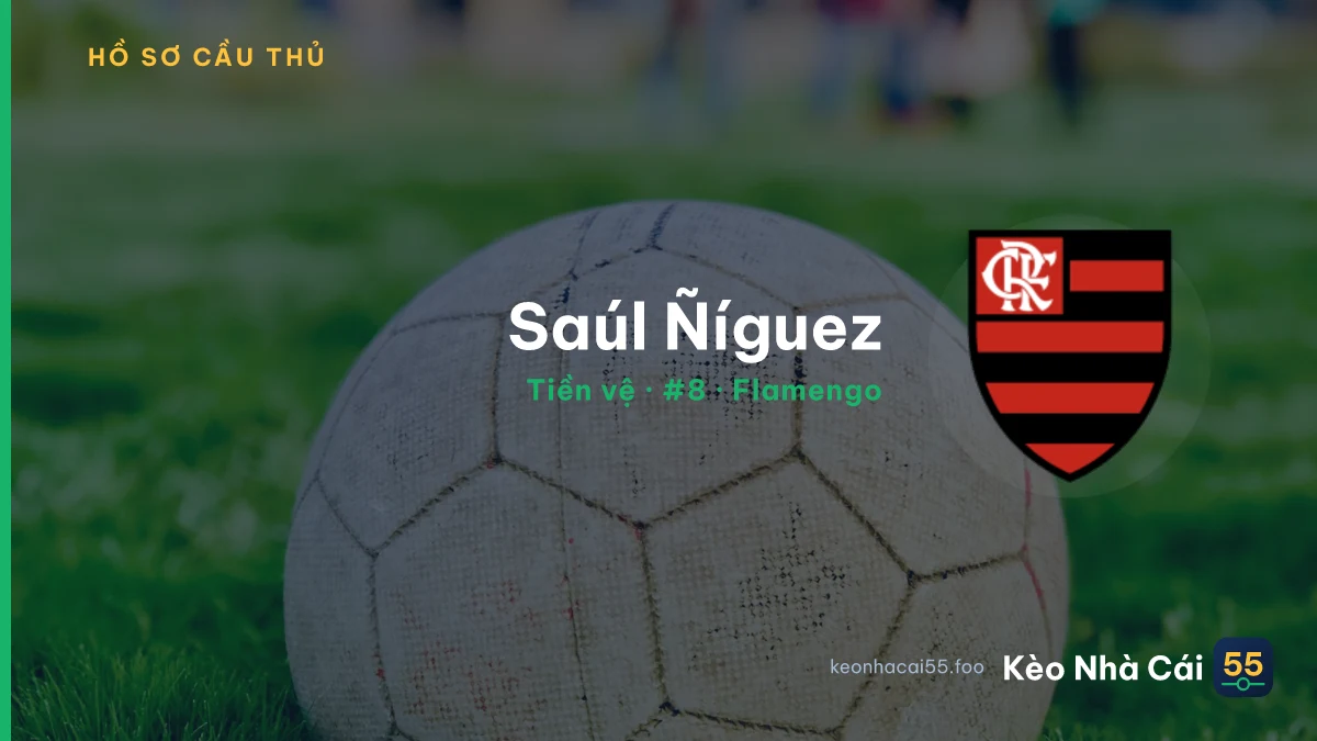Saúl Ñíguez — Flamengo