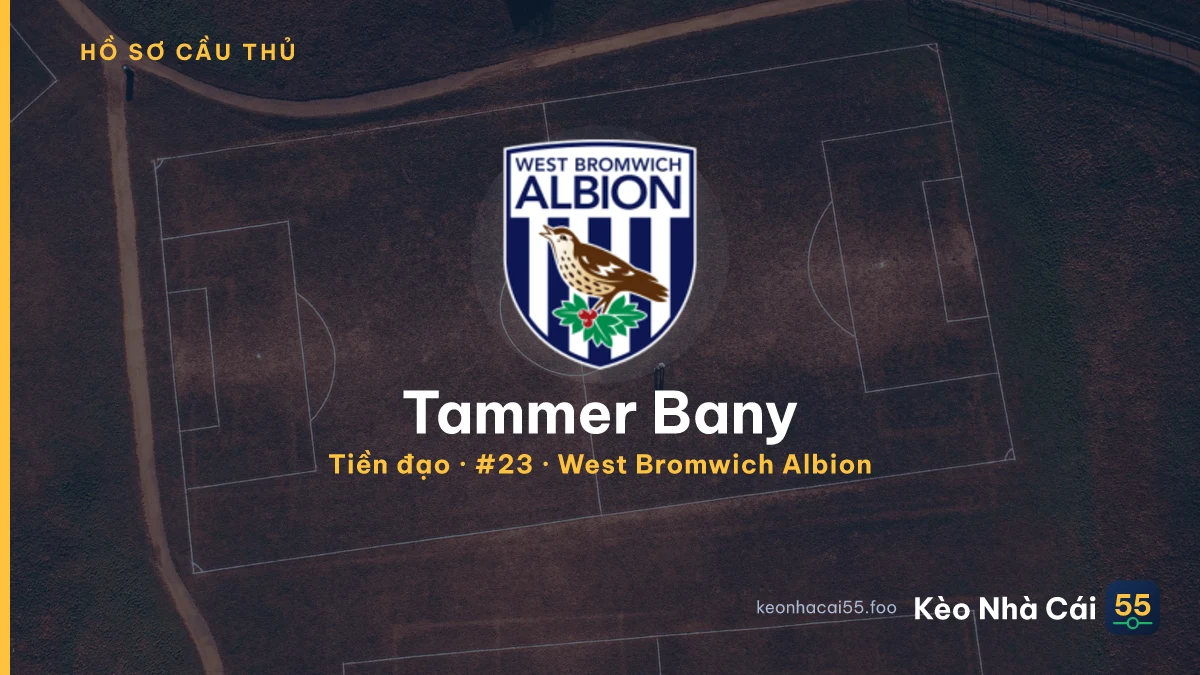 Tammer Bany — West Bromwich Albion