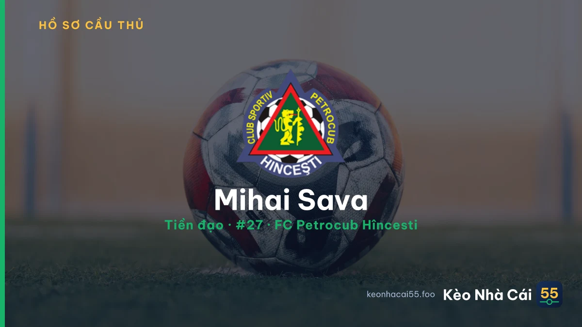 Mihai Sava — FC Petrocub Hîncesti