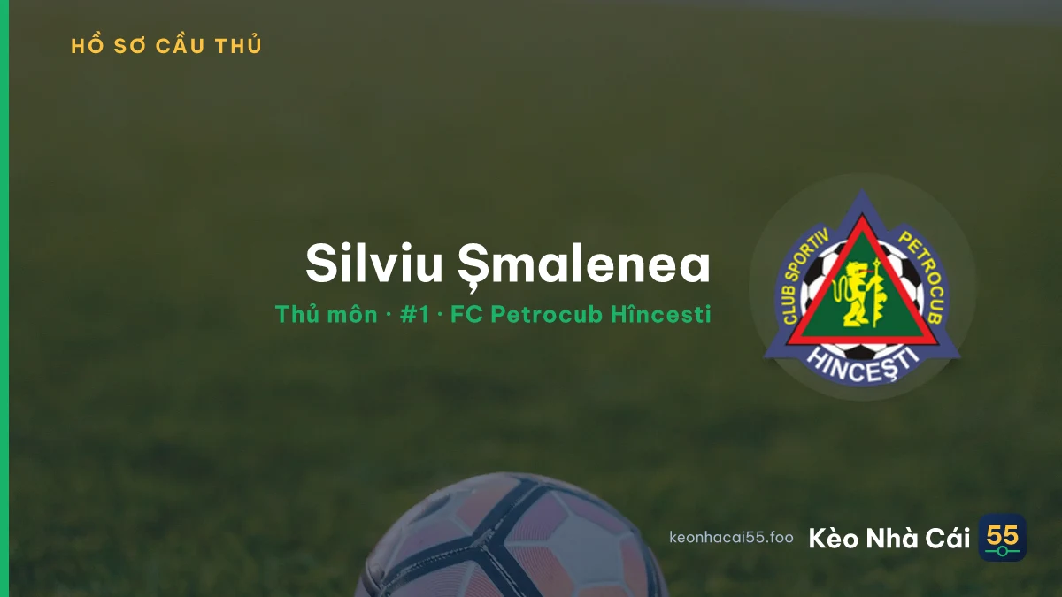 Silviu Șmalenea — FC Petrocub Hîncesti
