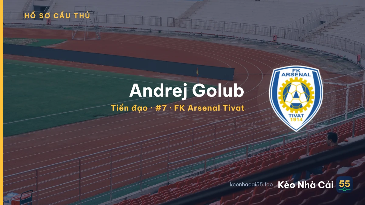 Andrej Golub — FK Arsenal Tivat
