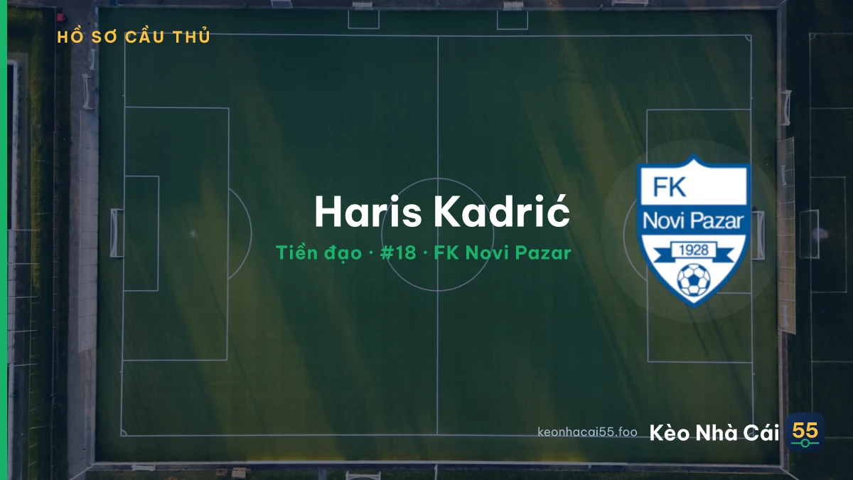 Haris Kadrić — FK Novi Pazar