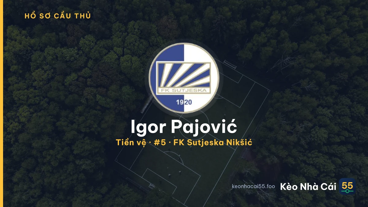Igor Pajović — FK Sutjeska Nikšić