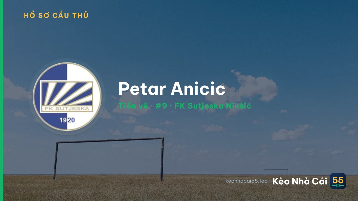Petar Anicic — FK Sutjeska Nikšić