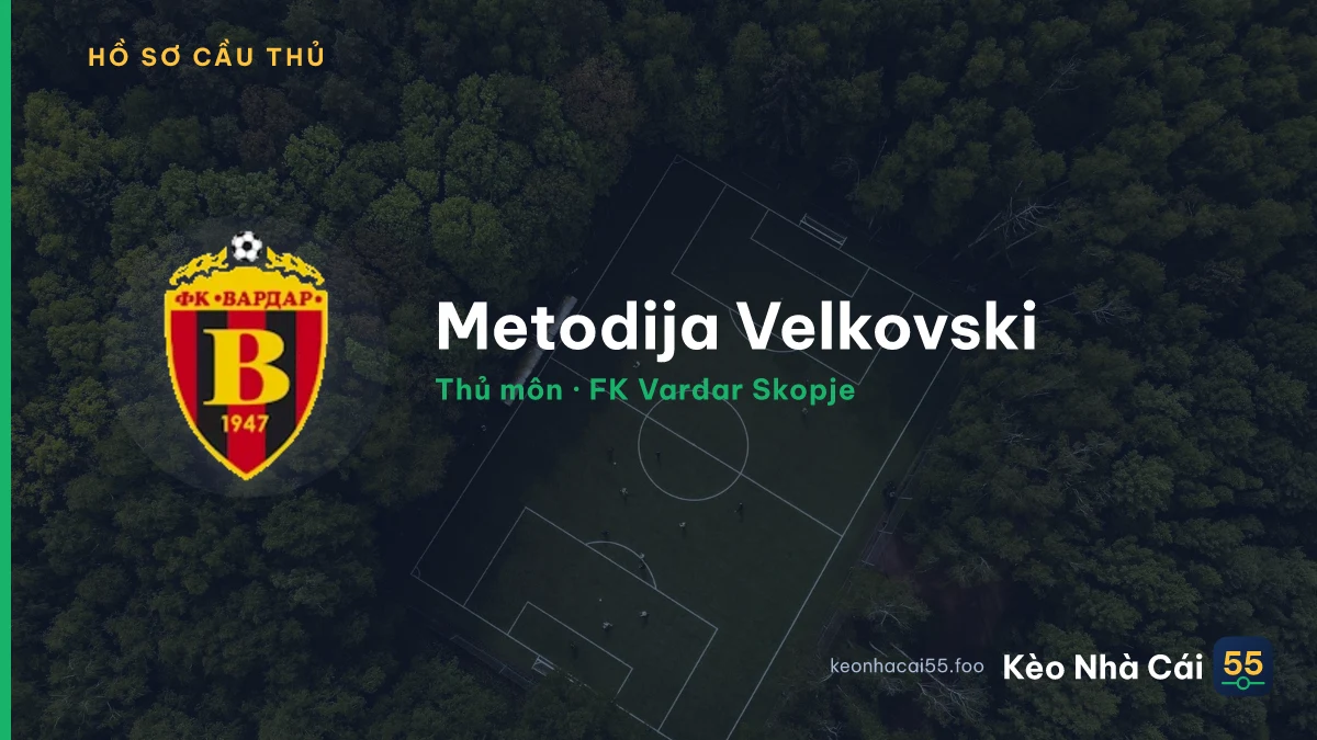 Metodija Velkovski — FK Vardar Skopje