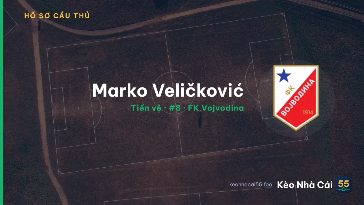 Marko Veličković — FK Vojvodina