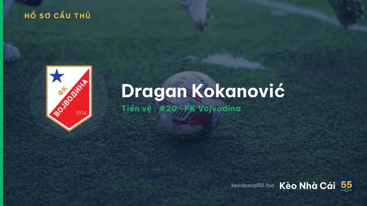Dragan Kokanović — FK Vojvodina