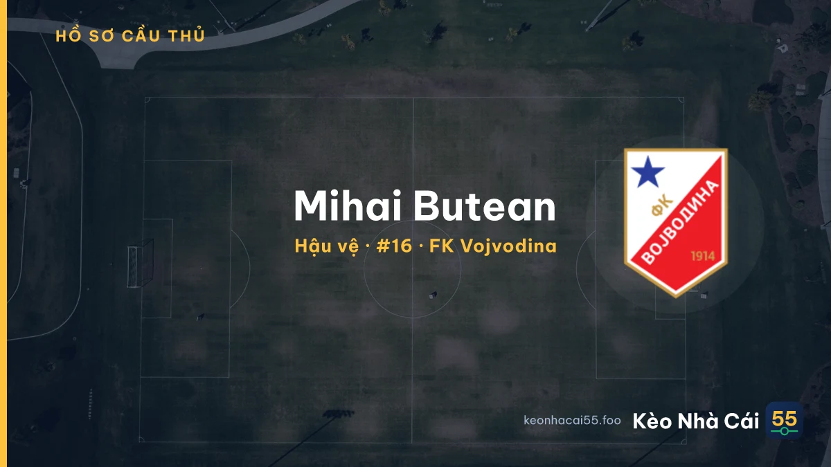 Mihai Butean — FK Vojvodina
