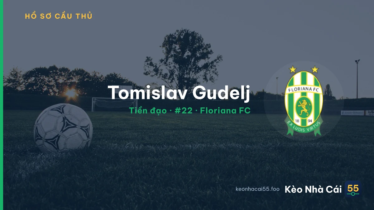 Tomislav Gudelj — Floriana FC