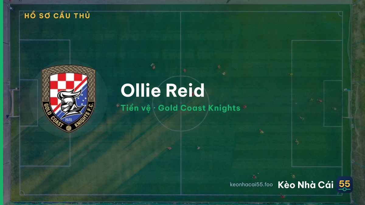 Ollie Reid — Gold Coast Knights