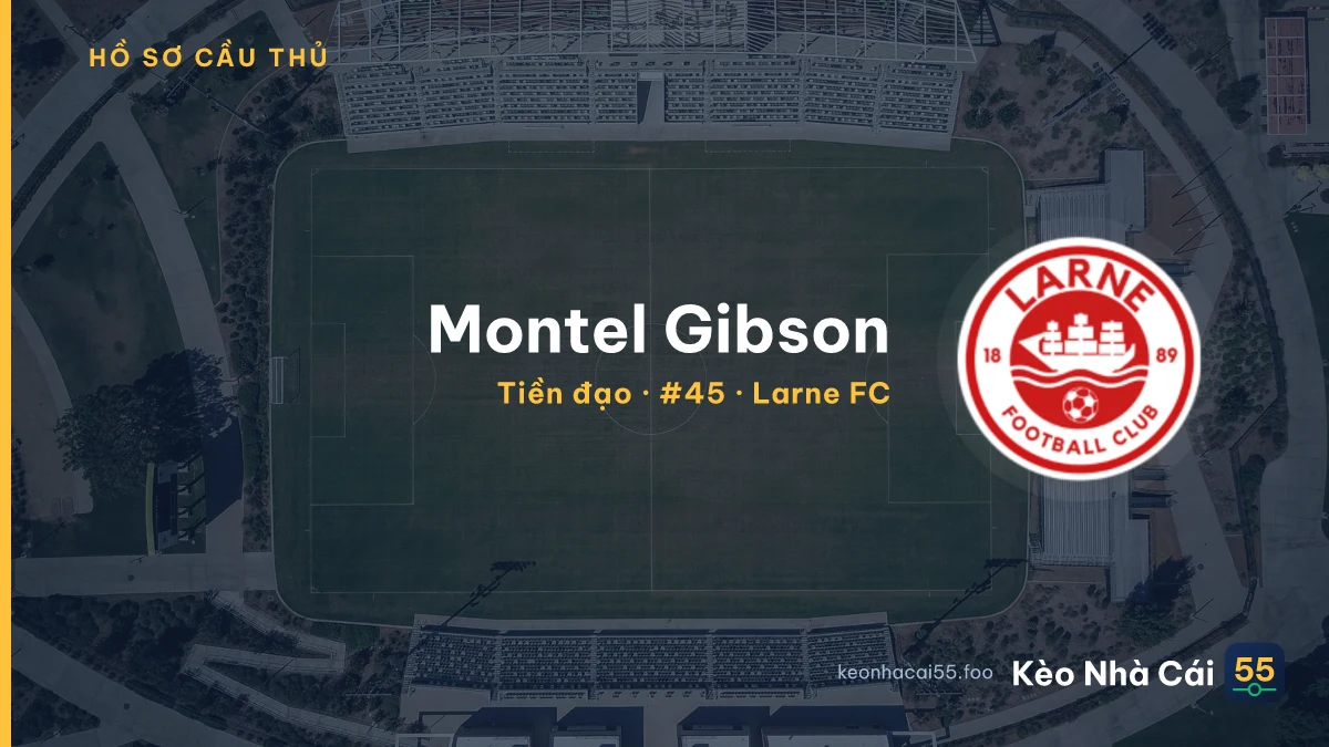 Montel Gibson — Larne FC