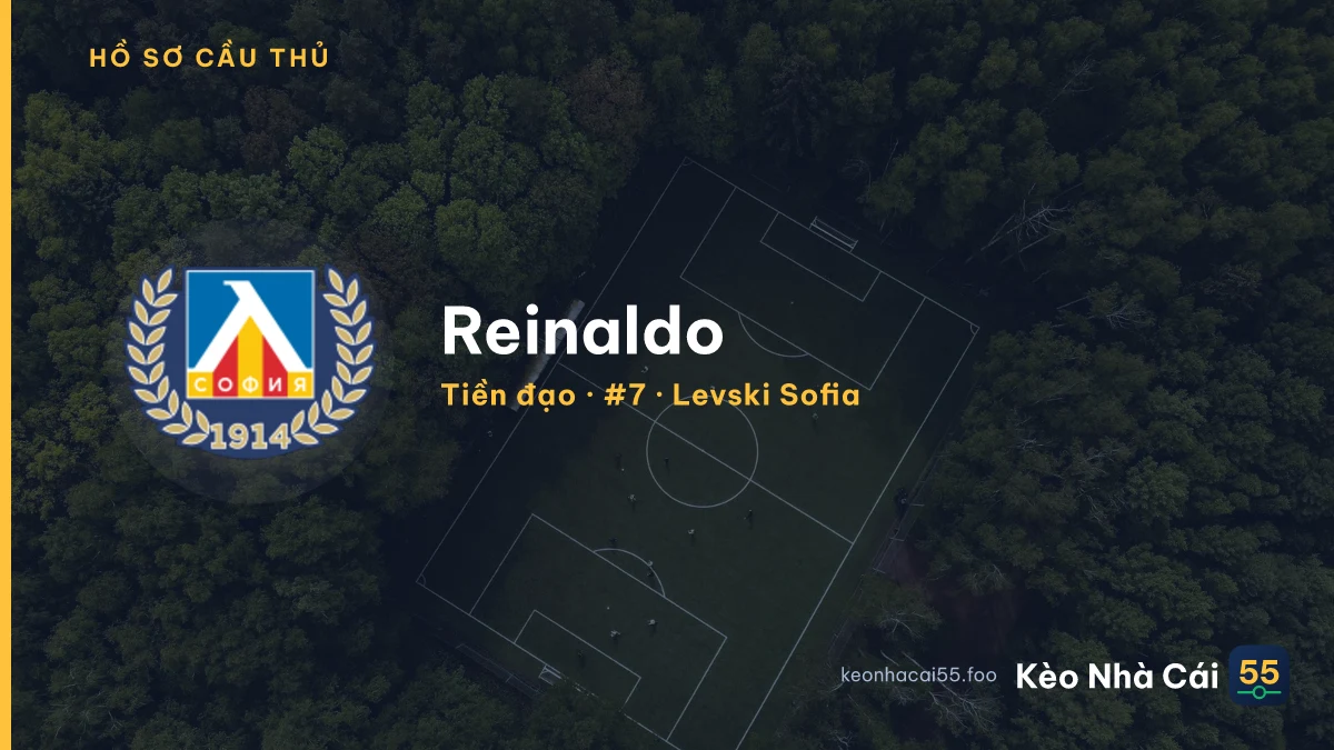 Reinaldo — Levski Sofia