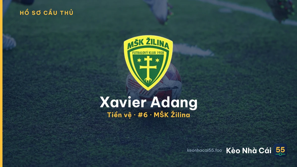 Xavier Adang — MŠK Žilina