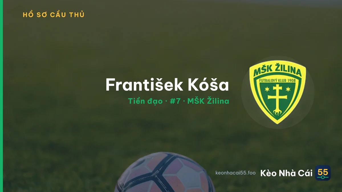 František Kóša — MŠK Žilina
